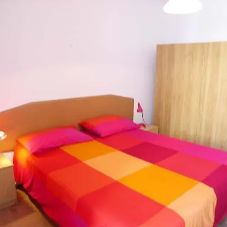 Zipser Ii * 그라도